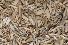 biomass boilers Vaynor